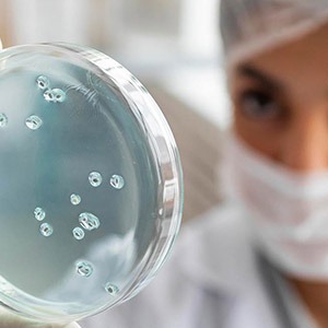 Tissue Culture Lab