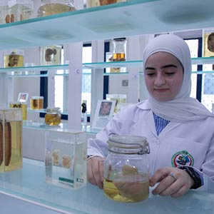 Central Research Lab